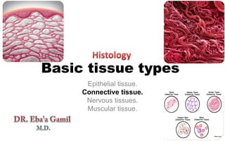 Basic tissue types
Epithelial tissue.
Connective tissue.
Nervous tissues.
Muscular tissue.
 