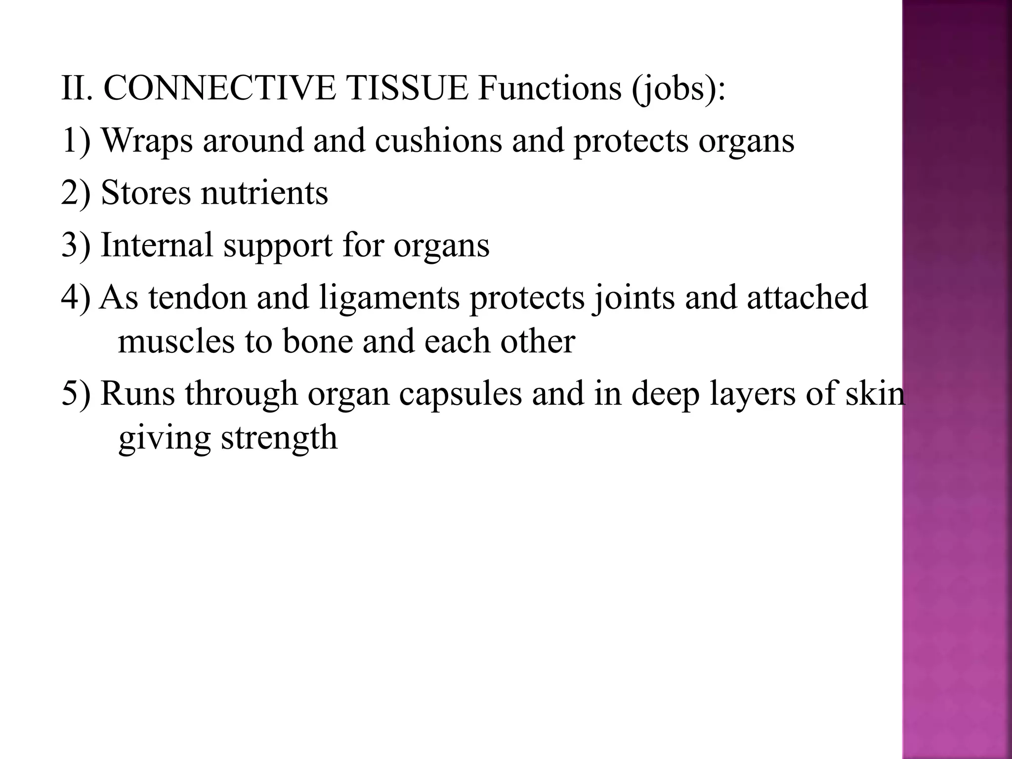 II. CONNECTIVE TISSUE Functions (jobs):
1) Wraps around and cushions and protects organs
2) Stores nutrients
3) Internal support for organs
4) As tendon and ligaments protects joints and attached
muscles to bone and each other
5) Runs through organ capsules and in deep layers of skin
giving strength
 