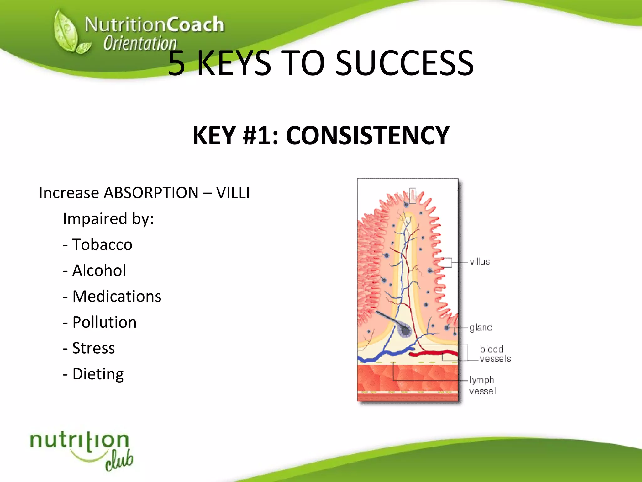 Basic Training 2013 Ppt