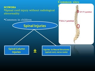 Common sites
for fracture
C7-T1 junction
T12-L1 junction
SCIWORA
Spinal cord injury without radiological
abnormality
Common in children
Spinal Injuries
Spinal Column
Injuries
Injuries to Neural Structures
(spinal cord, nerve roots)±
 