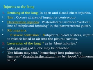 Injuries to the lung
1. Bruising of the lung: In open and closed chest injuries.
 Site : Occurs at area of impact or contrecoup.
 Deceleration injuries: Posterolateral surfaces “vertical
line of subpleural bruising” in the paravertebral gutter.
 Rib imprints.
 If severe contusion : Subpleural blood blisters, rupture
to release blood or air into the pleural cavities.
2. Laceration of the lung: “ as in blunt injuries.”
 Lobes or parts of a lobe may be detached.
 The hilum may tear." hemorhage into pulmonary
ligament” Vessels in the hilum may be ripped.”pulmonar
veins”
 