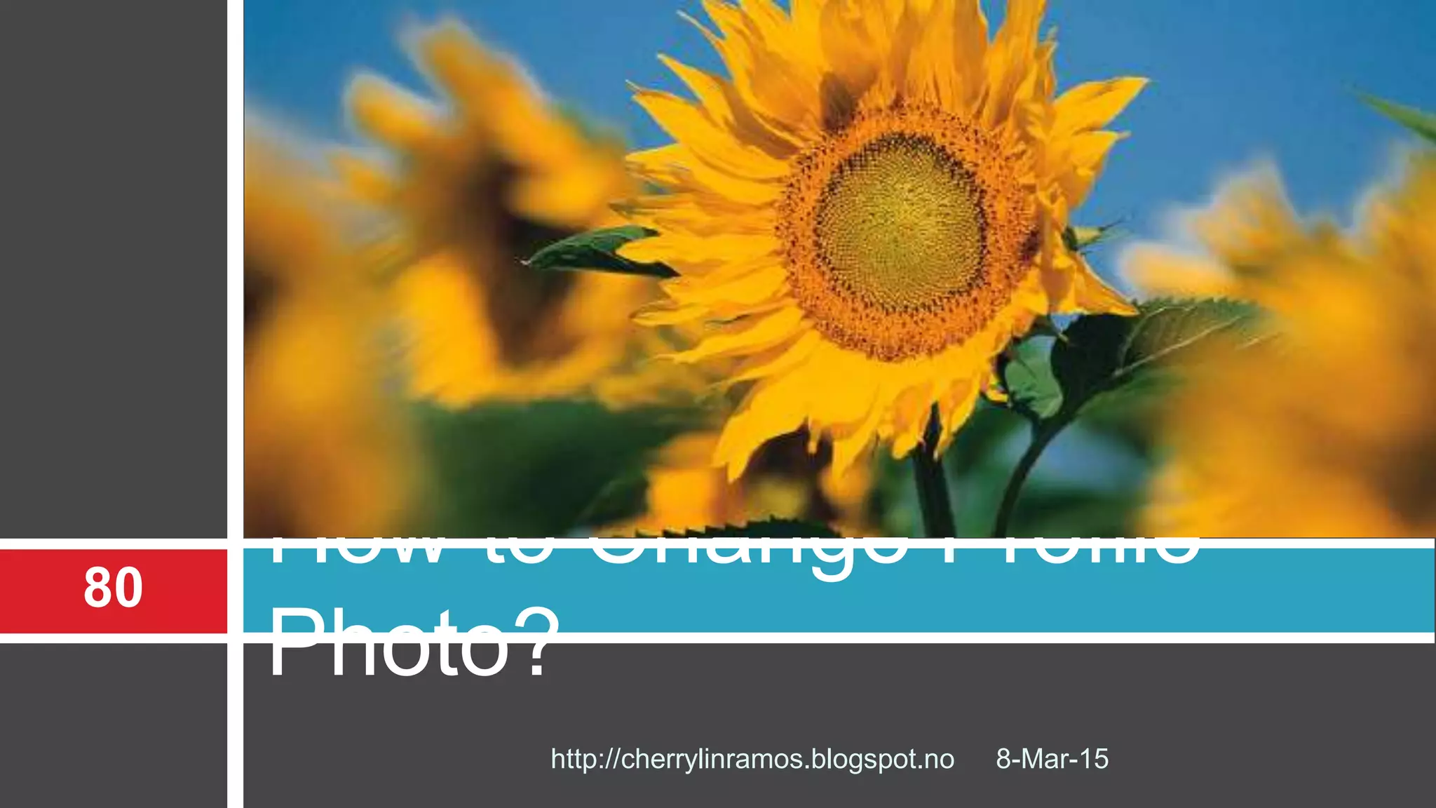 How to Change Profile
Photo?
8-Mar-15http://cherrylinramos.blogspot.no
80
 