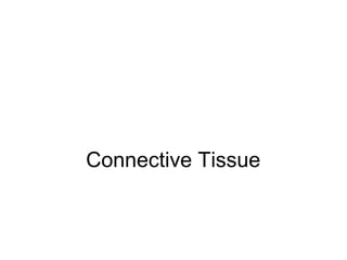 Connective Tissue
 