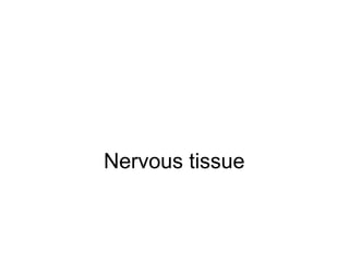 Nervous tissue
 