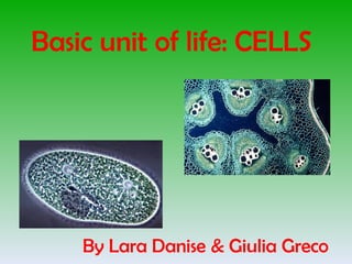 Basic unit of life: CELLS
By Lara Danise & Giulia Greco
 