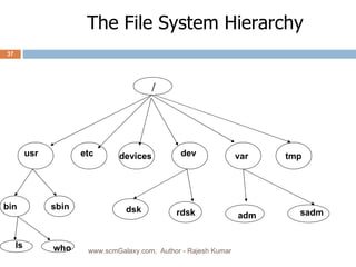 The File System Hierarchy / usr etc devices dev var tmp bin sbin ls who adm sadm dsk rdsk www.scmGalaxy.com,  Author - Rajesh Kumar 
