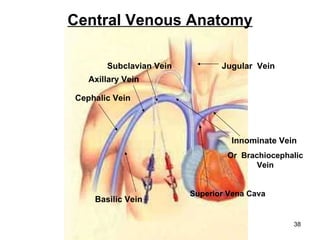 Central Venous Anatomy Cephalic   Vein Basilic Vein Superior Vena Cava Innominate Vein   Or  Brachiocephalic Vein Subclavian Vein Jugular  Vein Axillary Vein 