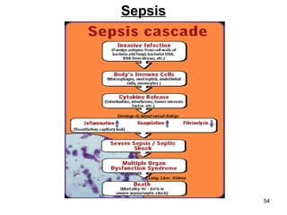 Sepsis 