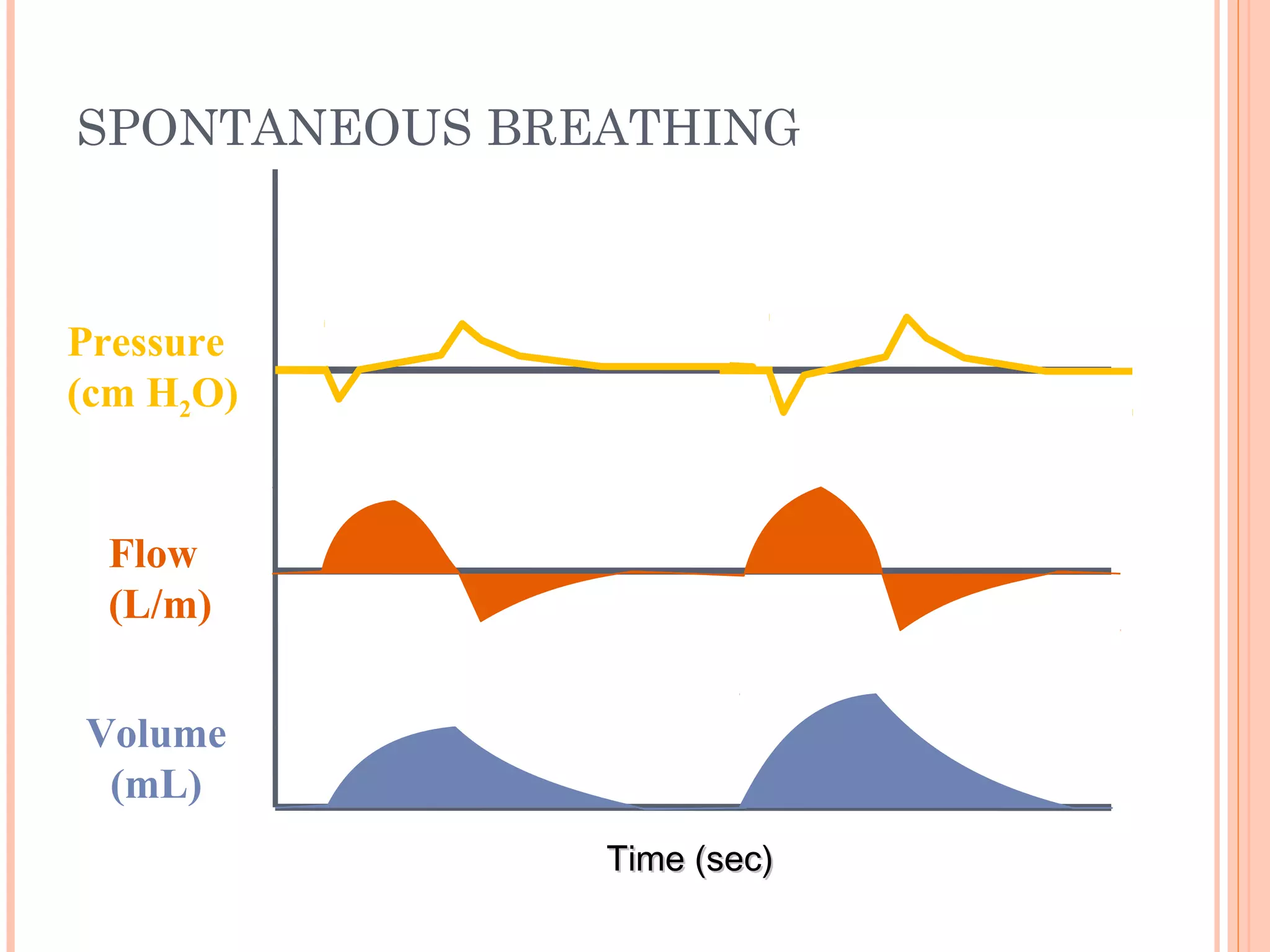 SPONTANEOUS BREATHING
Time (sec)Time (sec)
Flow
(L/m)
Pressure
(cm H2O)
Volume
(mL)
 