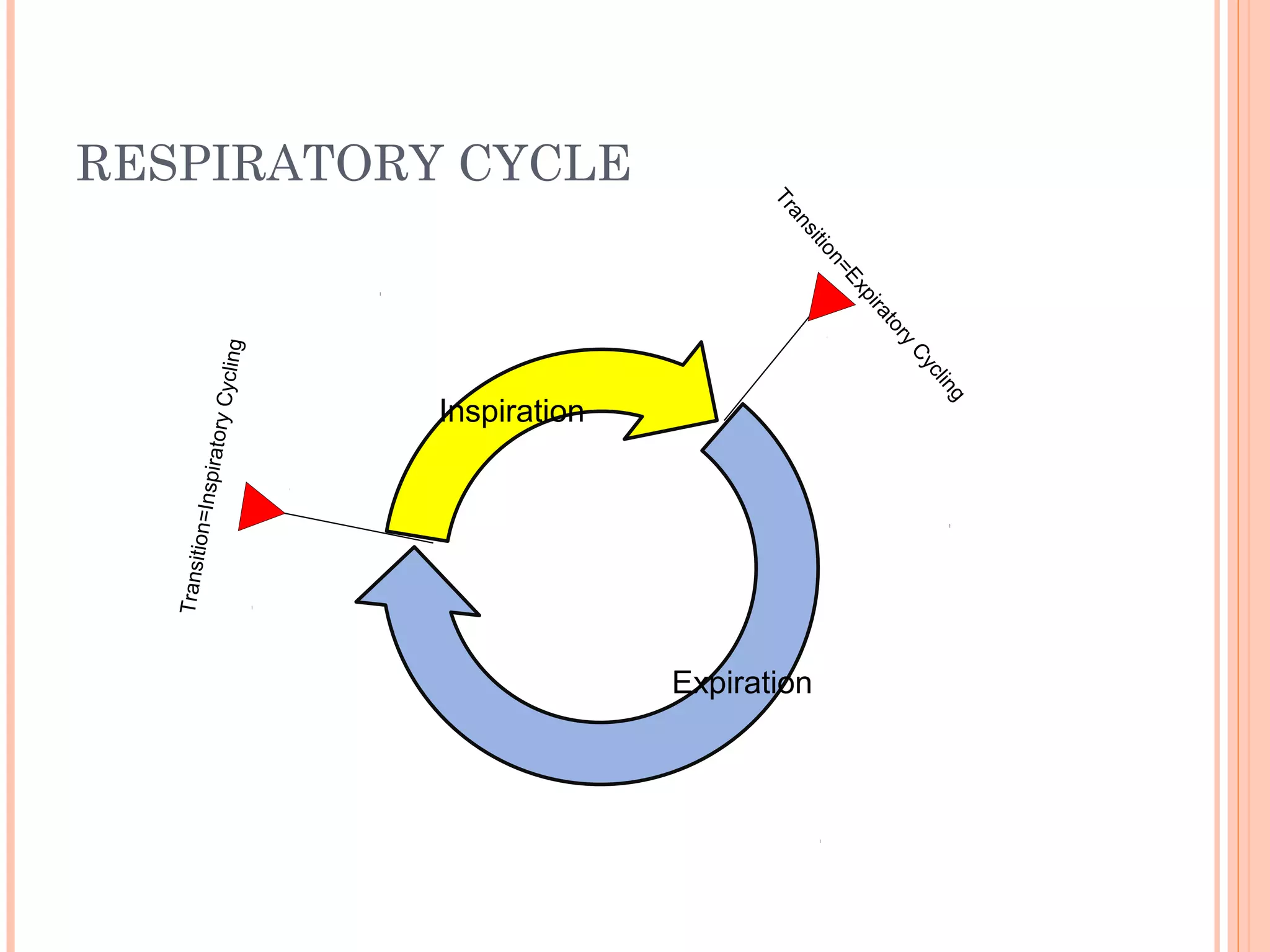 RESPIRATORY CYCLETransition=InspiratoryCycling
Transition=Expiratory
Cycling
Inspiration
Expiration
 
