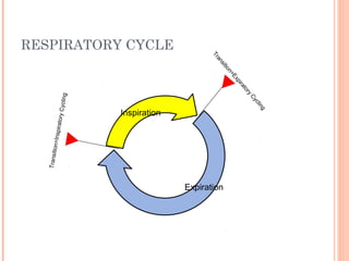 RESPIRATORY CYCLETransition=InspiratoryCycling
Transition=Expiratory
Cycling
Inspiration
Expiration
 