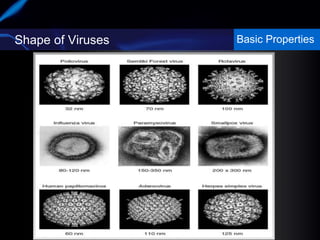 Shape of Viruses Basic Properties
 