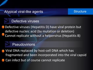 Atypical viral-like agents Structure
Defective viruses
Pseudovirions
Defective viruses (Hepatitis D) have viral protein but
defective nucleic acid (by mutation or deletion)
Cannot replicate without a helpervirus (Hepatitis B)
• Viral DNA replaced by host-cell DNA which has
fragmanted and been incorporated into the viral capsid
• Can infect but of course cannot replicate
 