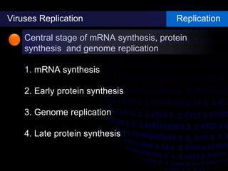 Viruses Replication Replication
Central stage of mRNA synthesis, protein
synthesis and genome replication
1. mRNA synthesis
2. Early protein synthesis
3. Genome replication
4. Late protein synthesis
 
