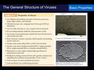 The General Structure of Viruses Basic Properties
 
