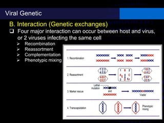 Viral Genetic
B. Interaction (Genetic exchanges)
 Four major interaction can occur between host and virus,
or 2 viruses infecting the same cell
 Recombination
 Reassortment
 Complementation
 Phenotypic mixing
 