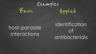 Basic vs Applied Research | PDF