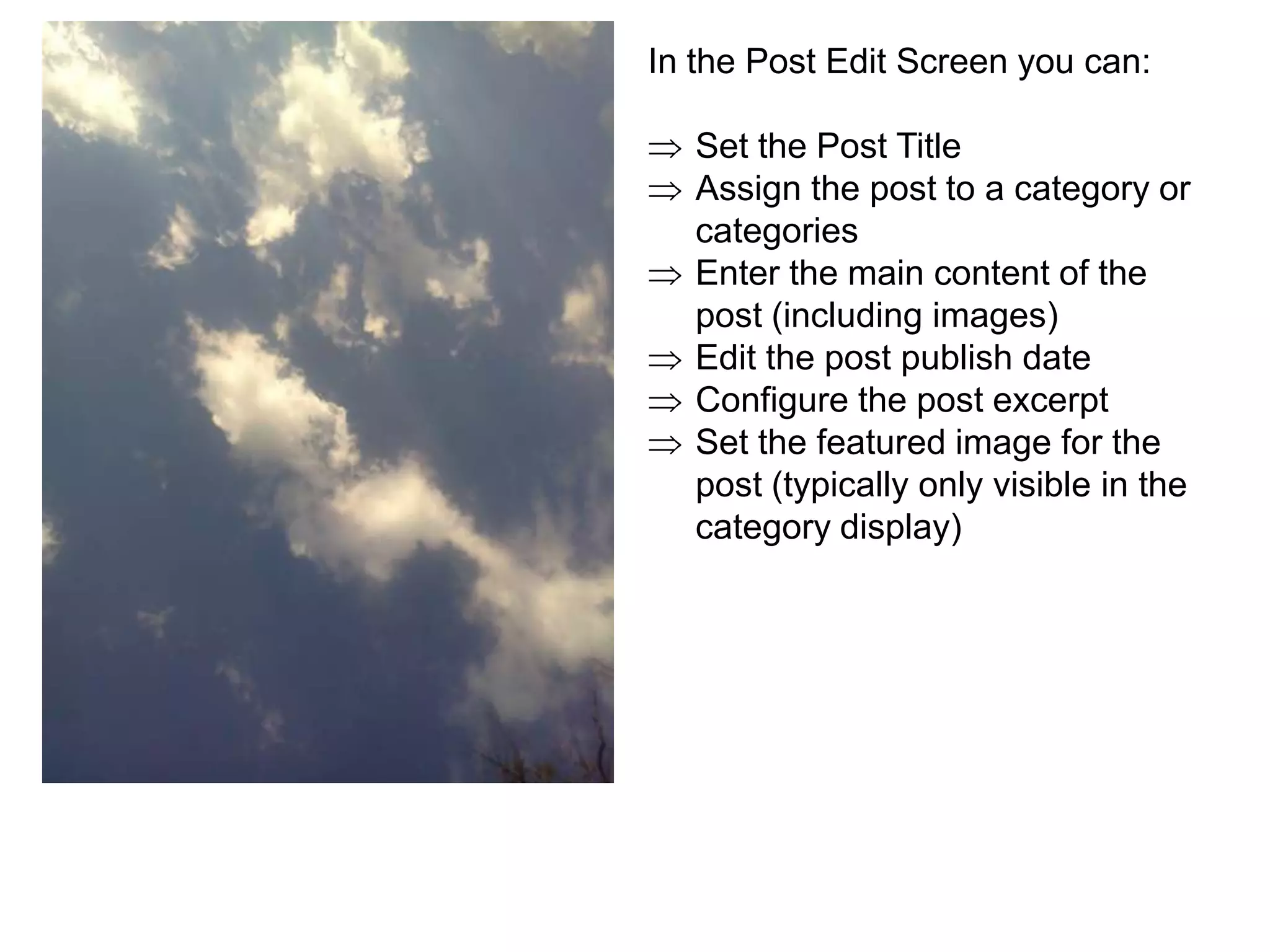 In the Post Edit Screen you can:

   Set the Post Title
   Assign the post to a category or
   categories
   Enter the main content of the
   post (including images)
   Edit the post publish date
   Configure the post excerpt
   Set the featured image for the
   post (typically only visible in the
   category display)
 