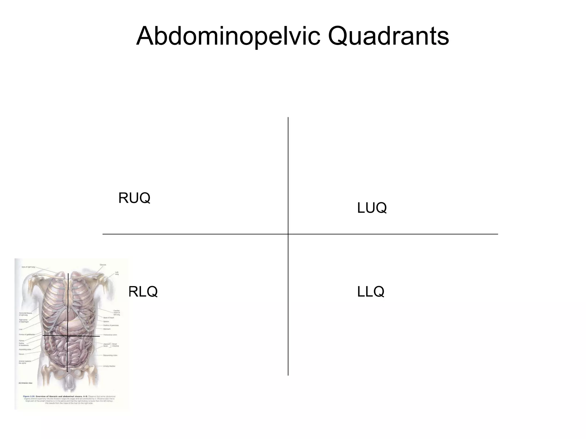 Abdominopelvic Quadrants RUQ LUQ RLQ LLQ 