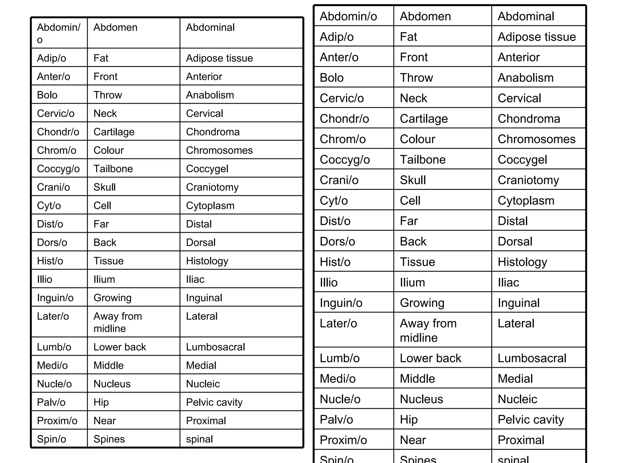 spinal Spines Spin/o Proximal Near Proxim/o Pelvic cavity Hip Palv/o Nucleic Nucleus Nucle/o Medial Middle Medi/o Lumbosacral Lower back Lumb/o Lateral Away from midline Later/o Inguinal Growing Inguin/o Iliac Ilium Illio Histology Tissue Hist/o Dorsal Back Dors/o Distal Far Dist/o Cytoplasm Cell Cyt/o Craniotomy Skull Crani/o Coccygel Tailbone Coccyg/o Chromosomes Colour Chrom/o Chondroma Cartilage Chondr/o Cervical Neck Cervic/o Anabolism Throw Bolo Anterior Front Anter/o Adipose tissue Fat Adip/o Abdominal Abdomen Abdomin/o spinal Spines Spin/o Proximal Near Proxim/o Pelvic cavity Hip Palv/o Nucleic Nucleus Nucle/o Medial Middle Medi/o Lumbosacral Lower back Lumb/o Lateral Away from midline Later/o Inguinal Growing Inguin/o Iliac Ilium Illio Histology Tissue Hist/o Dorsal Back Dors/o Distal Far Dist/o Cytoplasm Cell Cyt/o Craniotomy Skull Crani/o Coccygel Tailbone Coccyg/o Chromosomes Colour Chrom/o Chondroma Cartilage Chondr/o Cervical Neck Cervic/o Anabolism Throw Bolo Anterior Front Anter/o Adipose tissue Fat Adip/o Abdominal Abdomen Abdomin/o 