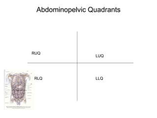 Abdominopelvic Quadrants RUQ LUQ RLQ LLQ 
