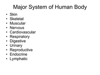Major System of Human Body Skin Skeletal Muscular  Nervous Cardiovascular Respiratory Digestive Urinary Reproductive Endocrine Lymphatic 