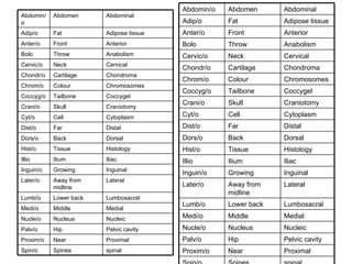 spinal Spines Spin/o Proximal Near Proxim/o Pelvic cavity Hip Palv/o Nucleic Nucleus Nucle/o Medial Middle Medi/o Lumbosacral Lower back Lumb/o Lateral Away from midline Later/o Inguinal Growing Inguin/o Iliac Ilium Illio Histology Tissue Hist/o Dorsal Back Dors/o Distal Far Dist/o Cytoplasm Cell Cyt/o Craniotomy Skull Crani/o Coccygel Tailbone Coccyg/o Chromosomes Colour Chrom/o Chondroma Cartilage Chondr/o Cervical Neck Cervic/o Anabolism Throw Bolo Anterior Front Anter/o Adipose tissue Fat Adip/o Abdominal Abdomen Abdomin/o spinal Spines Spin/o Proximal Near Proxim/o Pelvic cavity Hip Palv/o Nucleic Nucleus Nucle/o Medial Middle Medi/o Lumbosacral Lower back Lumb/o Lateral Away from midline Later/o Inguinal Growing Inguin/o Iliac Ilium Illio Histology Tissue Hist/o Dorsal Back Dors/o Distal Far Dist/o Cytoplasm Cell Cyt/o Craniotomy Skull Crani/o Coccygel Tailbone Coccyg/o Chromosomes Colour Chrom/o Chondroma Cartilage Chondr/o Cervical Neck Cervic/o Anabolism Throw Bolo Anterior Front Anter/o Adipose tissue Fat Adip/o Abdominal Abdomen Abdomin/o 