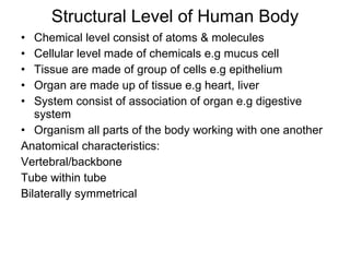Structural Level of Human Body Chemical level consist of atoms & molecules Cellular level made of chemicals e.g mucus cell Tissue are made of group of cells e.g epithelium Organ are made up of tissue e.g heart, liver System consist of association of organ e.g digestive system Organism all parts of the body working with one another Anatomical characteristics: Vertebral/backbone Tube within tube Bilaterally symmetrical 