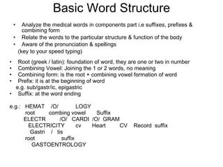 Basic Word Structure ,[object Object],[object Object],[object Object],[object Object],[object Object],[object Object],[object Object],[object Object],[object Object],[object Object],[object Object],[object Object],[object Object],[object Object],[object Object],[object Object],[object Object]