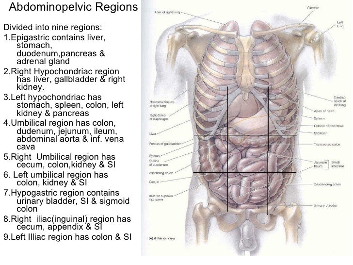 Basic Word Structure
