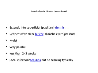 Superficial partial thickness (Second degree)
• Extends into superficial (papillary) dermis
• Redness with clear blister. Blanches with pressure.
• Moist
• Very painful
• less than 2–3 weeks
• Local infection/cellulitis but no scarring typically
 