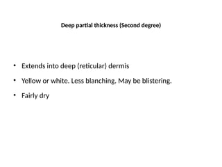 Deep partial thickness (Second degree)
• Extends into deep (reticular) dermis
• Yellow or white. Less blanching. May be blistering.
• Fairly dry
 