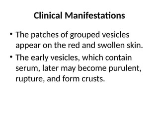 Clinical Manifestations
• The patches of grouped vesicles
appear on the red and swollen skin.
• The early vesicles, which contain
serum, later may become purulent,
rupture, and form crusts.
 