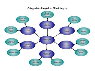 Categories of Impaired Skin Integrity
 
