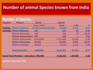 Number of animal Species known from India
Number of Species :
Kingdom Phylum World World*
(living + fossil) (living) India %
Protista Phylum Protozoa 36,400 (excluding fossil) 36,400 3,510 9.64
Animalia Phylum Mesozoa 122 122 10 8.02
Phylum Spiuncula 156 156 41 26.28
Phylum Onychophora 187 183 1 0.53
Phylum Arthropoda 13,02,809 12,57,040 75,528 6.00
Phylum Nematoda 25,043 25,033 2,914 11.63
Phylum Chordata 89,955 71,526 6,573 9.08
Total (Animalia) 1,664,289 15,29,953 97,183 6.35
Grand Total (Protista + Animalia) 1,700,689 15,66,353 1,00,693 6.42
(Updated: December, 2016)
 