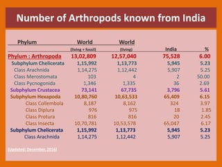 Number of Arthropods known from India
Phylum World World
(living + fossil) (living) India %
Phylum : Arthropoda 13,02,809 12,57,040 75,528 6.00
Subphylum Chelicerata 1,15,992 1,13,773 5,945 5.23
Class Arachnida 1,14,275 1,12,442 5,907 5.25
Class Merostomata 103 4 2 50.00
Class Pycnogonida 1,346 1,335 36 2.69
Subphylum Crustacea 73,141 67,735 3,796 5.61
Subphylum Hexapoda 10,80,760 10,63,533 65,409 6.15
Class Collembola 8,187 8,162 324 3.97
Class Diplura 976 975 18 1.85
Class Protura 816 816 20 2.45
Class Insecta 10,70,781 10,53,578 65,047 6.17
Subphylum Chelicerata 1,15,992 1,13,773 5,945 5.23
Class Arachnida 1,14,275 1,12,442 5,907 5.25
(Updated: December, 2016)
 