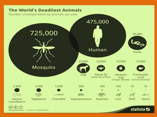 Basic zoology series iv