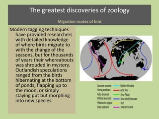The greatest discoveries of zoology
Migration routes of bird
Modern tagging techniques
have provided researchers
with detailed knowledge
of where birds migrate to
with the change of the
seasons, but for thousands
of years their whereabouts
was shrouded in mystery.
Outlandish speculations
ranged from the birds
hibernating at the bottom
of ponds, flapping up to
the moon, or simply
staying put but morphing
into new species.
 
