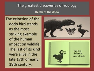 The greatest discoveries of zoology
Death of the dodo
The exinction of the
dodo bird stands
as the most
striking example
of the human
impact on wildlife.
The last of its kind
were alive in the
late 17th or early
18th century.
 