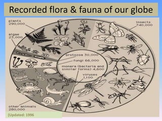 Recorded flora & fauna of our globe
(Updated: 1996
 