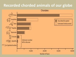 Recorded chorded animals of our globe
 