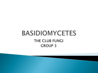 THE CLUB FUNGI
GROUP 3

 