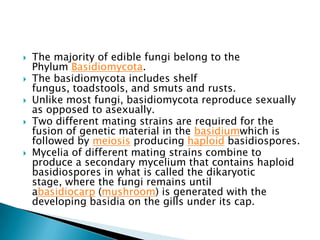 






The majority of edible fungi belong to the
Phylum Basidiomycota.
The basidiomycota includes shelf
fungus, toadstools, and smuts and rusts.
Unlike most fungi, basidiomycota reproduce sexually
as opposed to asexually.
Two different mating strains are required for the
fusion of genetic material in the basidiumwhich is
followed by meiosis producing haploid basidiospores.
Mycelia of different mating strains combine to
produce a secondary mycelium that contains haploid
basidiospores in what is called the dikaryotic
stage, where the fungi remains until
abasidiocarp (mushroom) is generated with the
developing basidia on the gills under its cap.

 