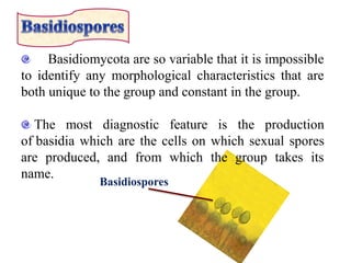 Basidiospores
Basidiomycota are so variable that it is impossible
to identify any morphological characteristics that are
both unique to the group and constant in the group.
The most diagnostic feature is the production
of basidia which are the cells on which sexual spores
are produced, and from which the group takes its
name.
 