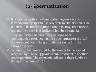 (b) Spermatisation
 It is another method whereby plasmogamy occurs.
Plasmogamy by spermatisation exclusively takes place in
the rusts. The rusts produce numerous, tiny, uninucleate,
non-motile, spore-like bodies called the spermatia.
 They are formed in flask- shaped organs, the
spermagonia developed on the upper surface of the leaf
of the second host. The spermatia are carried by the
various agencies.
 Generally, they are carried by the insects to the special
receptive hyphae of opposite strain produced in another
spermagonium. The spermatia adhere to these hyphae at
the tips (a) or laterally (b).
 