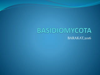 Basidiomycota Slide