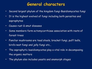 General characters
• Second largest phylum of the kingdom fungi-Basidiomycetes fungi
• It is the highest evolved of fungi including both parasites and
saprophytes
• Causes rust & smut diseases
• Some members form ectomycorrhizae association with roots of
forest trees
• Familiar mushrooms are toad stools, bracket fungi, puff balls,
bird’s nest fungi and jelly fungi etc.,
• The saprophytic basidiomycetes play a vital role in decomposing
the organic matters
• The phylum also includes yeasts and anamorph stages
 