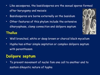 • Like ascospores, the basidiospores are the sexual spores formed
after karyogamy and meiosis
• Basidiospores are borne externally on the basidium
• Other features of this phylum include the extensive
dikaryophase, clamp connection and dolipore septum
Thallus
• Well branched, white or deep brown or charcal black mycelium
• Hypha has either simple septation or complex dolipore septum
with parenthosom
Dolipore septum
• To prevent movement of nuclei fom one cell to another and to
sustain dikayotic nature of hypha
 