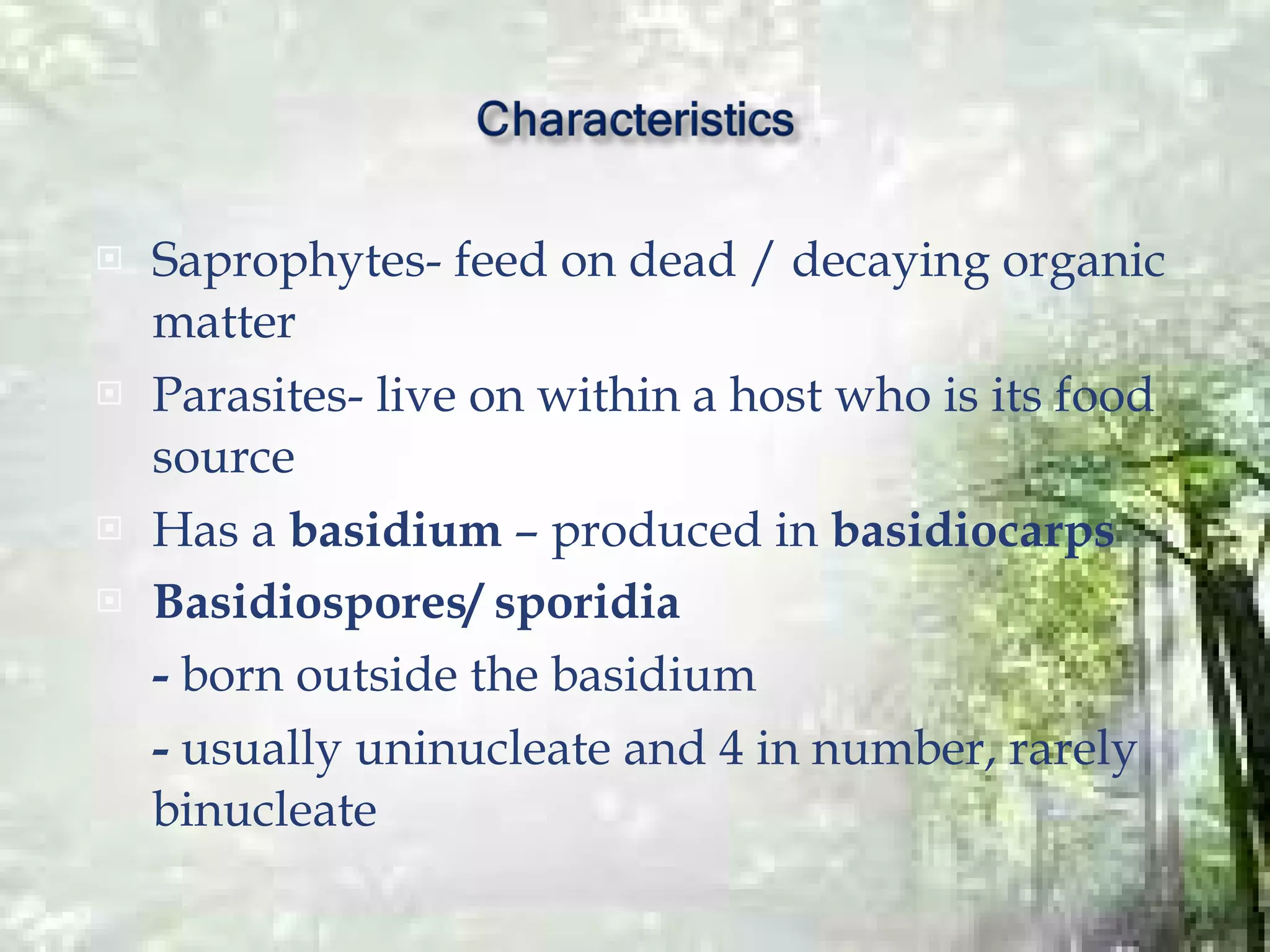 Basidiomycota | PPT