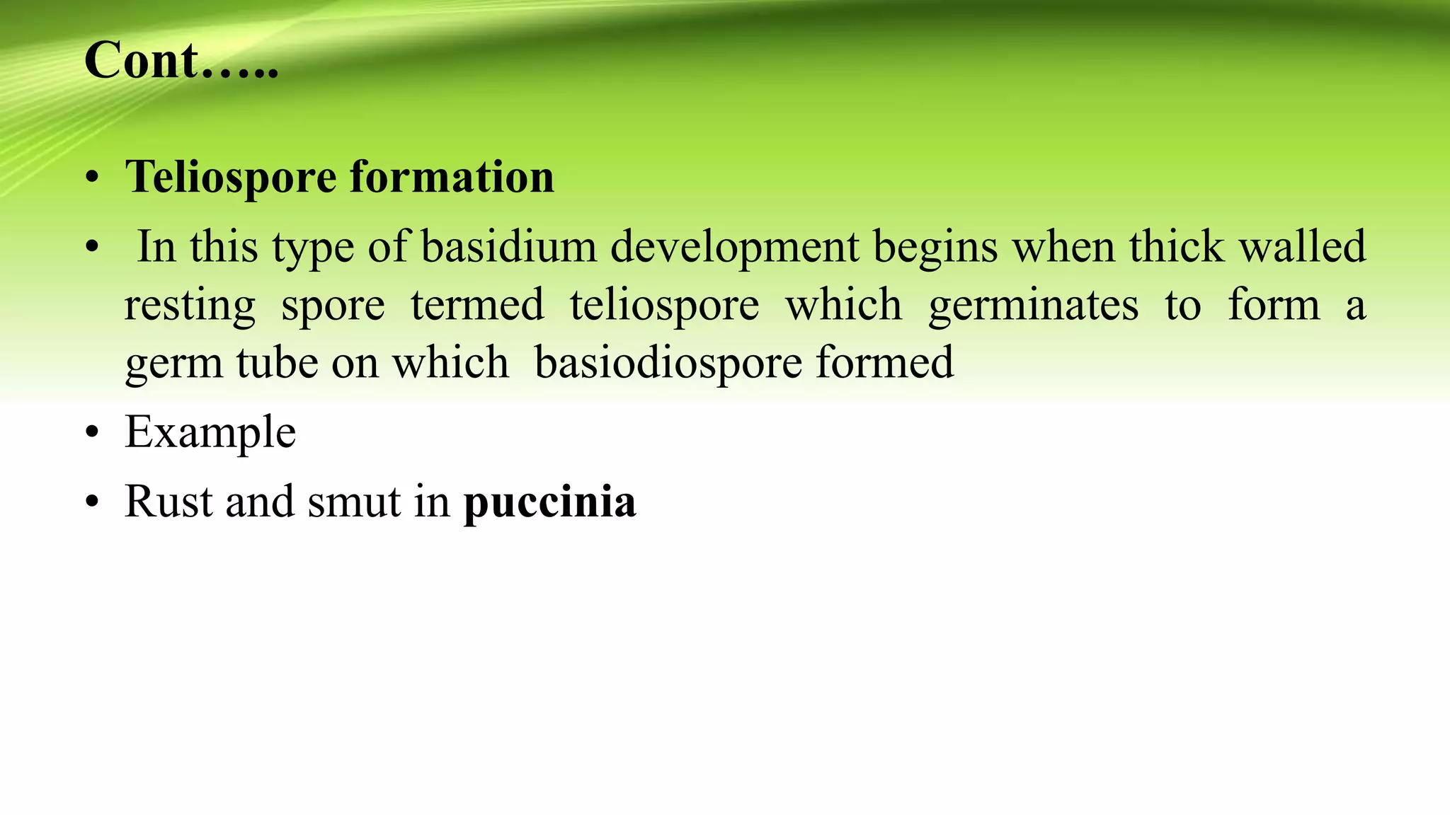 Basidiomycota by sohail | PPTX